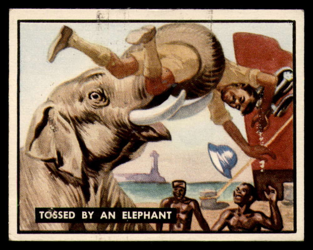 91 Tossed By An Elephant